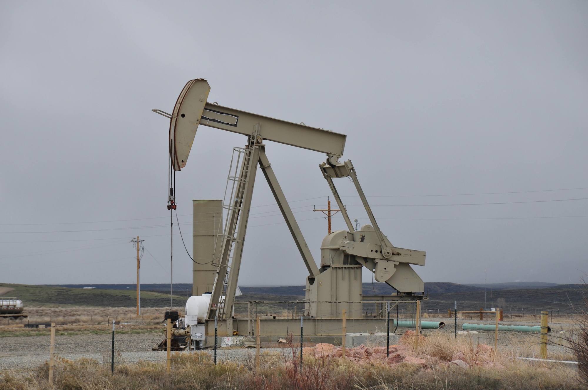 Driving Change: How Our Services Benefit the Environment and Local Economies